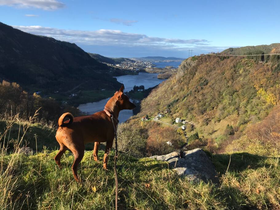 Overlooking the area from one of the spectacular hiking trails, well suited for both children, adults and the adventourus.