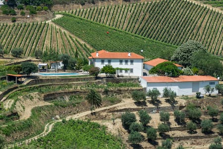 Stunning secluded boutique vineyard