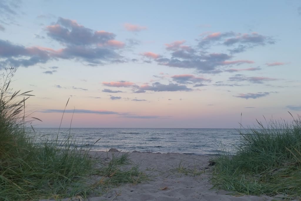 Beach Herte