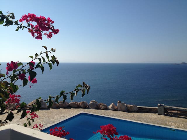 Breathless Summer View