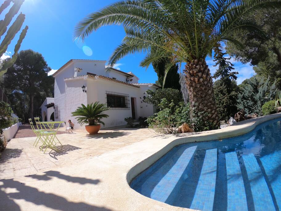 Swimming pool in front of the house