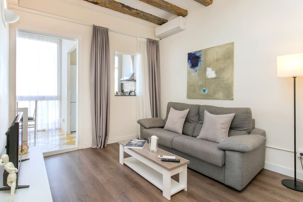 Cozy living room with sofa bed and flat TV
