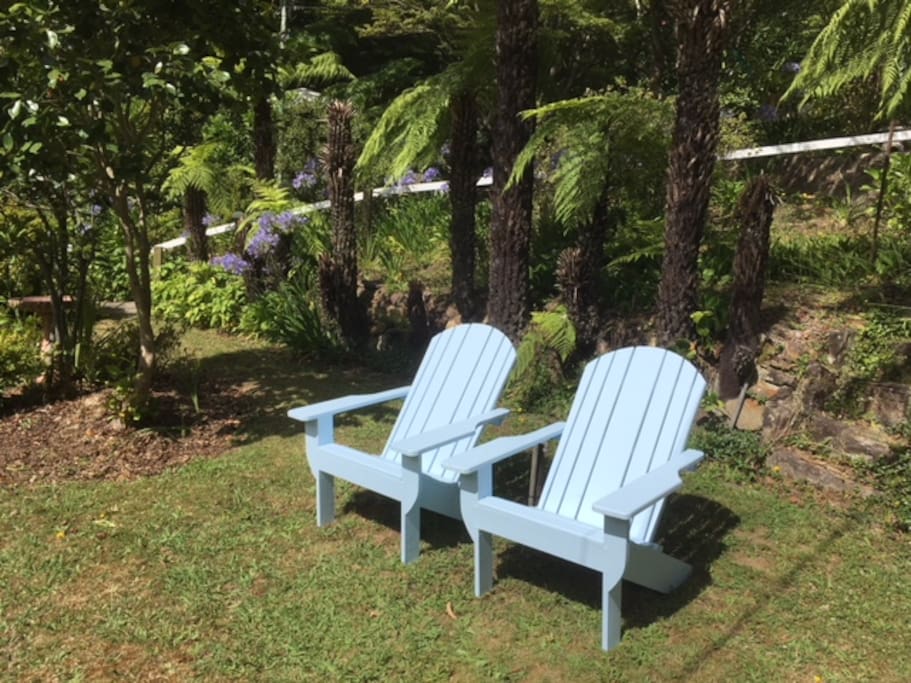 Agies match the adirondacks