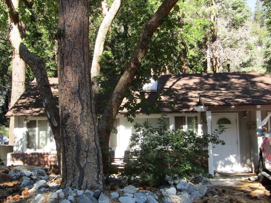 The cabin in Spring/Summer