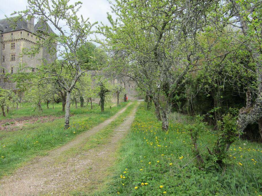 Au pied du château et à une minute du village