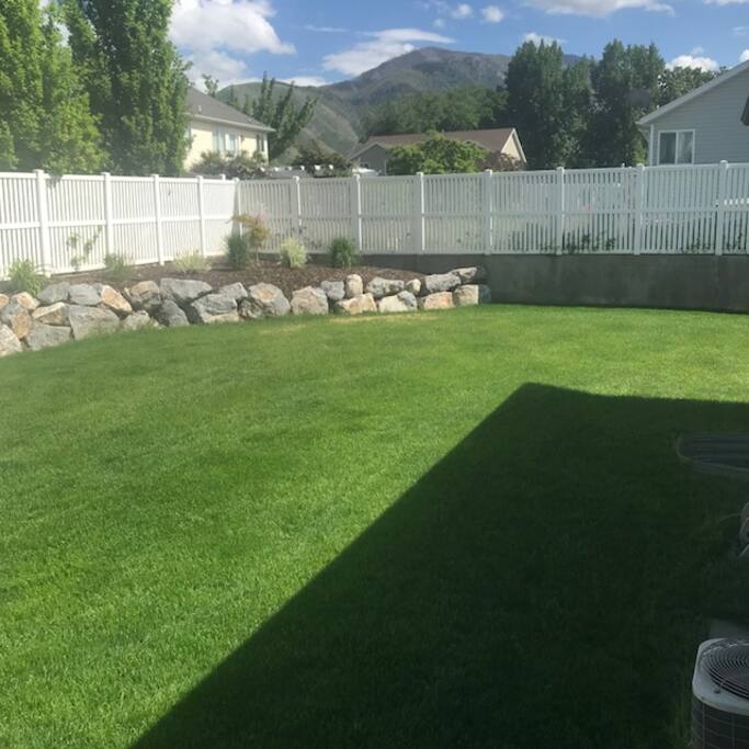 Back yard