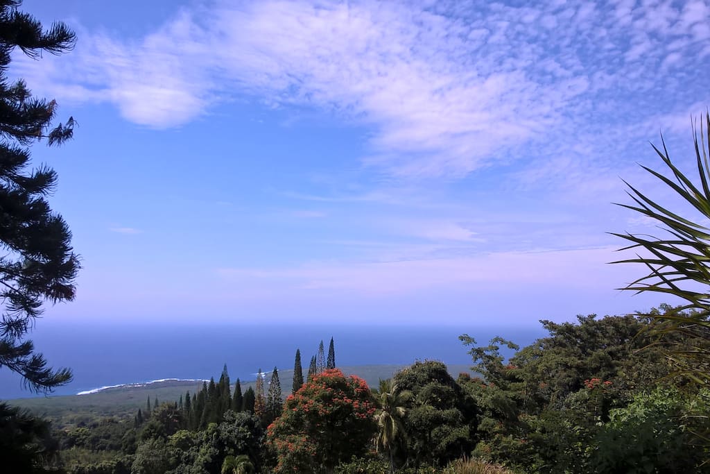 View from living room window