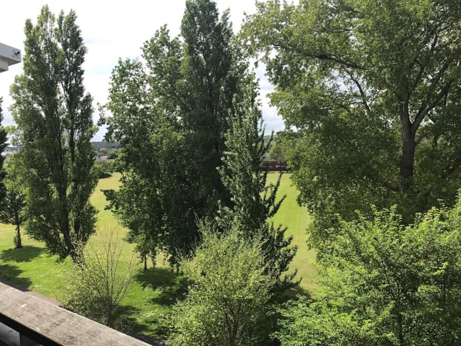 Park from balcony