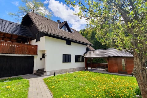 Apartment Alpska Astra