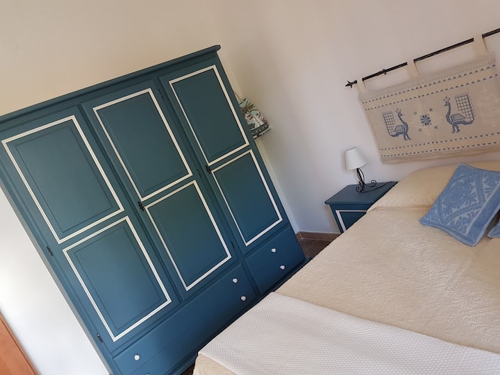 Pavoncelle con cámara