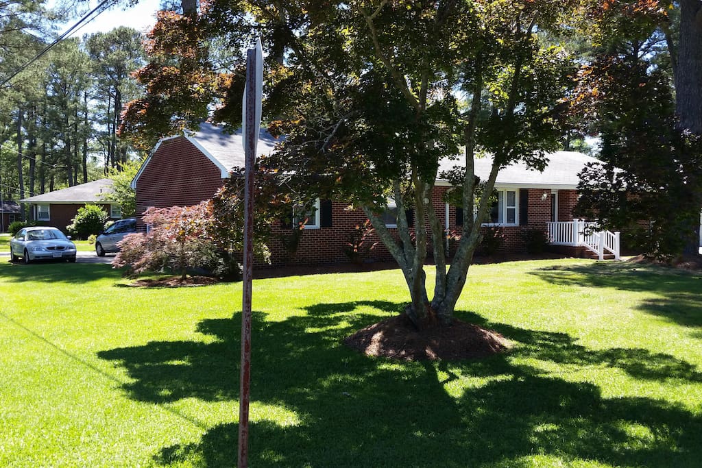 Front yard