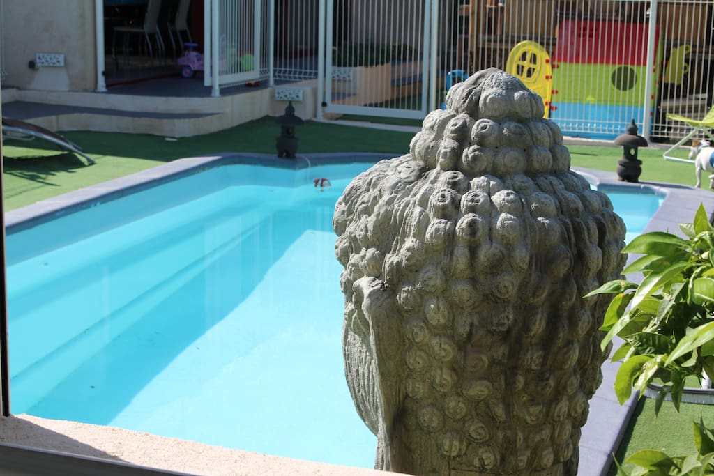 piscine devant la chambre terrasse ombragée transats
