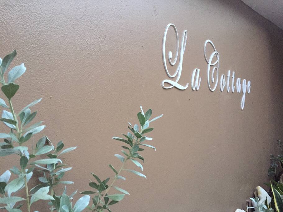 Outside entryway.
Area de entrada de la casa.