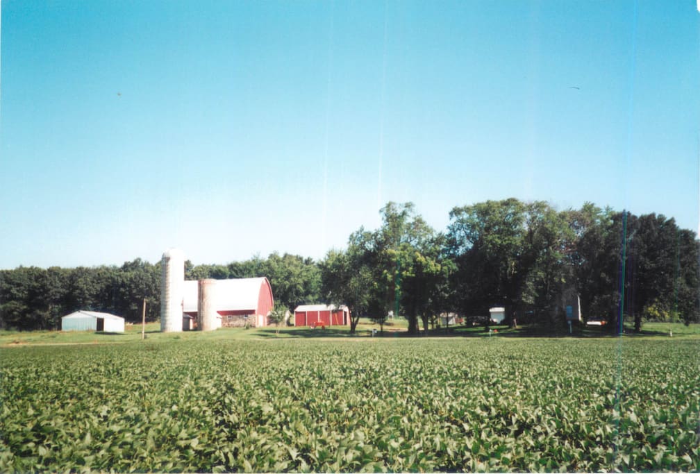 View from the Fields