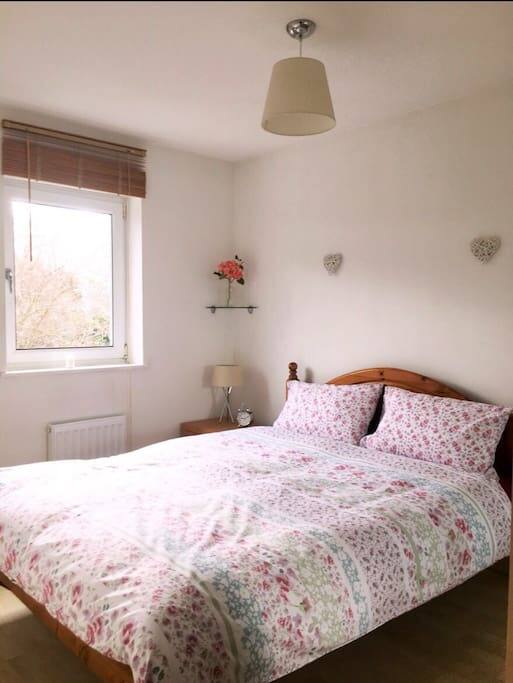 Room Front View