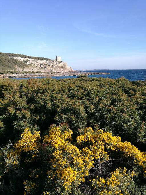 i colri del parco di portoselvaggio