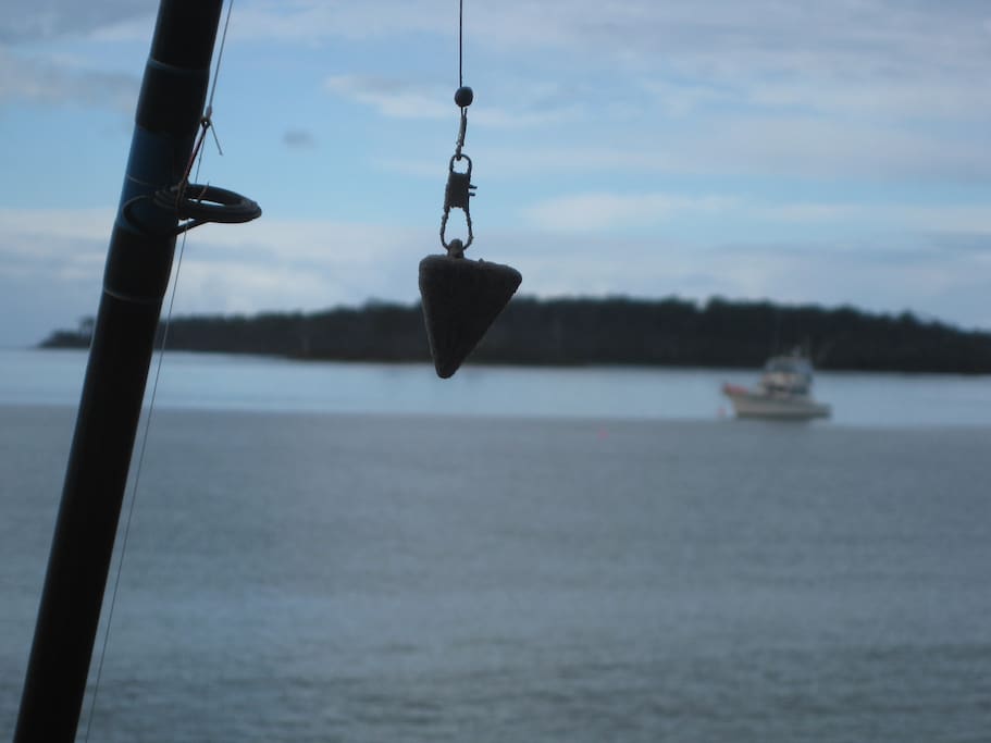 Fish off the deck!!