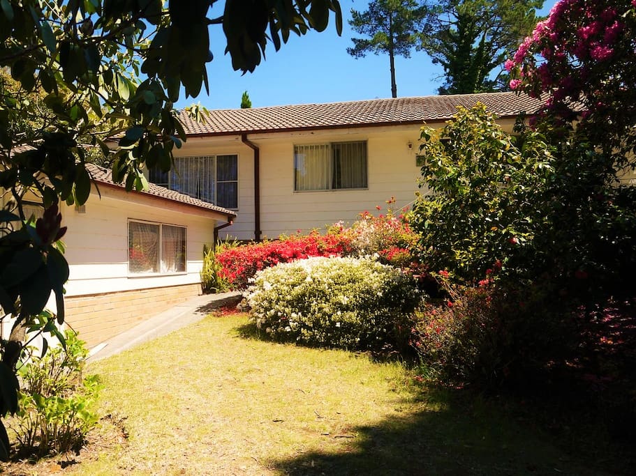House front garden