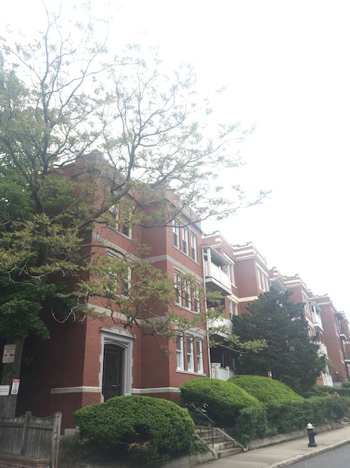 Side shot of our building