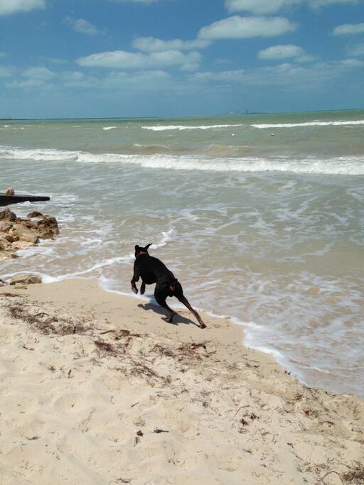 The beach outside of our house
