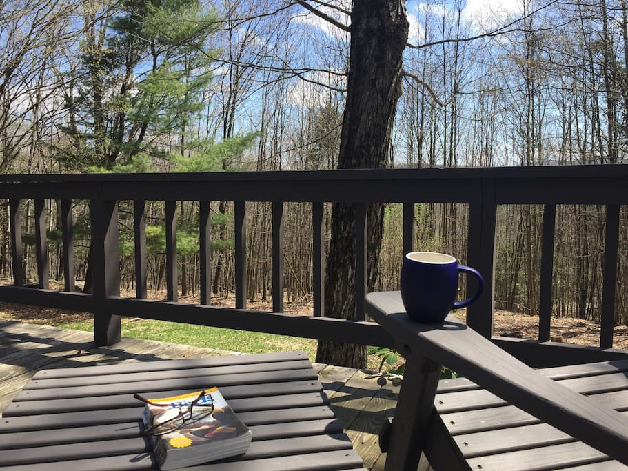 almost always a great day for a cup and a read on the deck.
