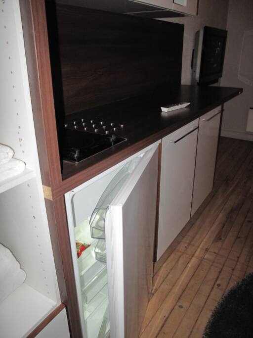 one fridge in the room