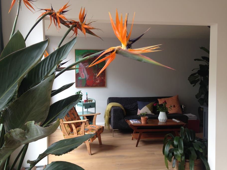 Living room from side with plants.