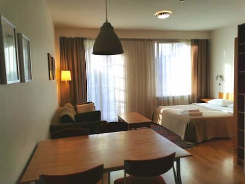 (V13) Apartment in the Old Town near the museum MO