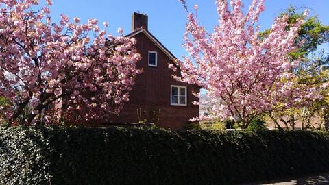 Spacious family house close to Amsterdam.