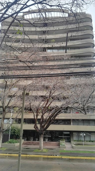 edificio