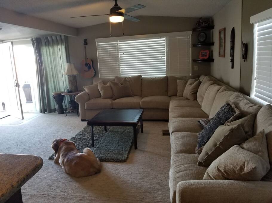 Living room with queen size fold out sofa bed