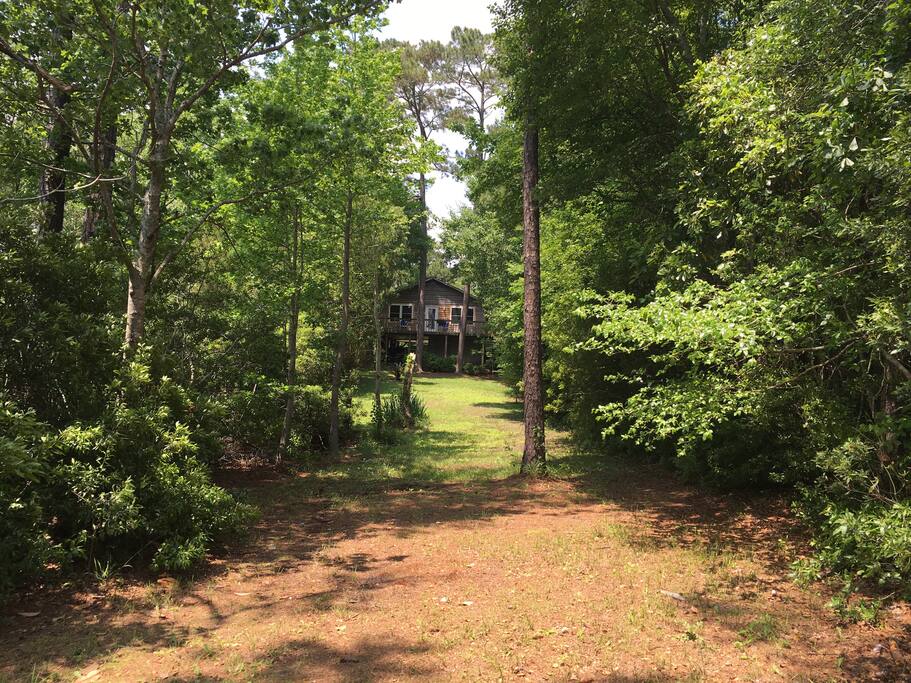 Back yard looking up to house