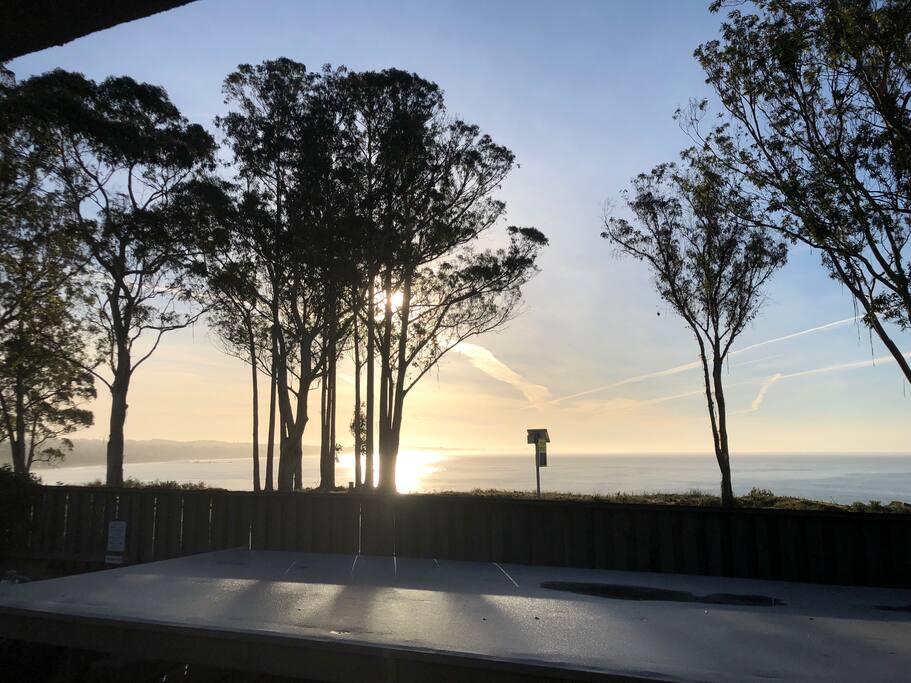 View from the deck!