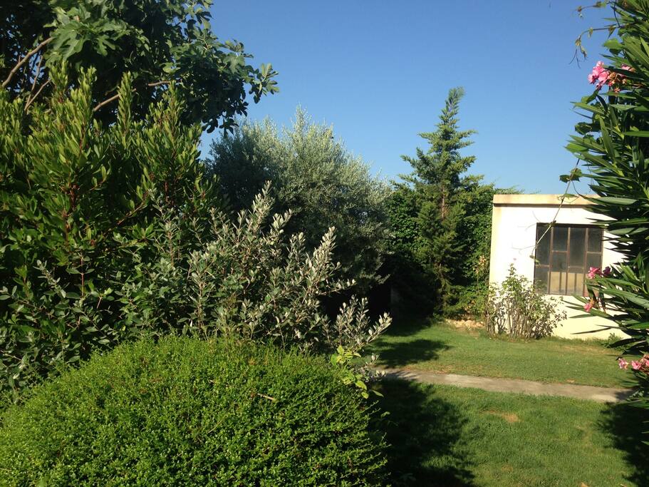 Jardin
