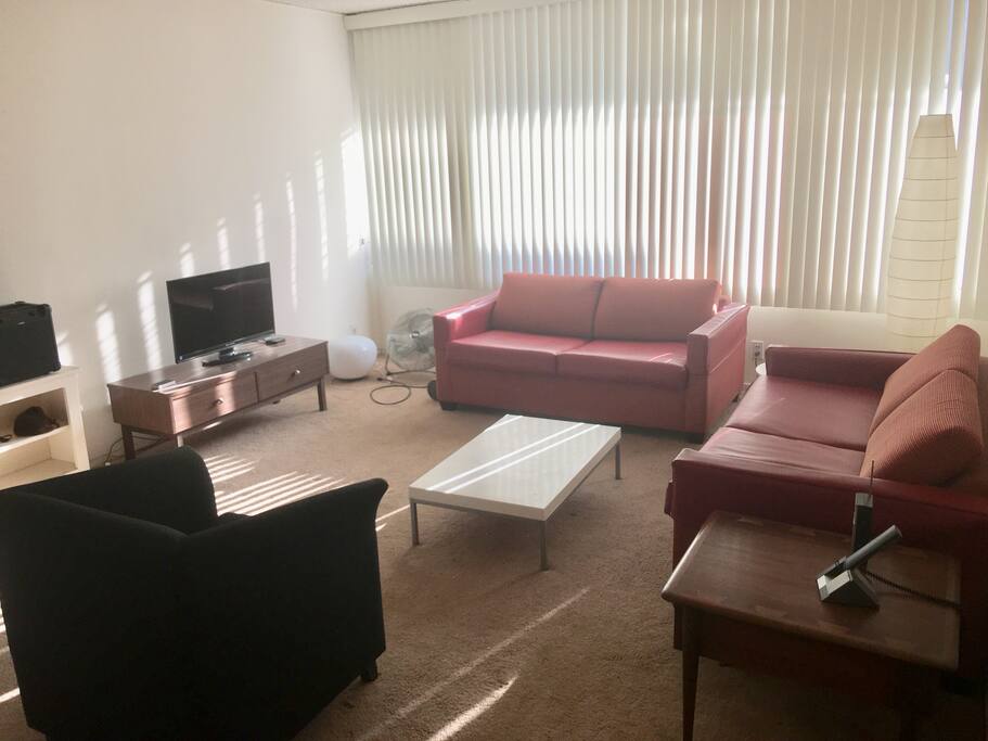 Two sofabeds.