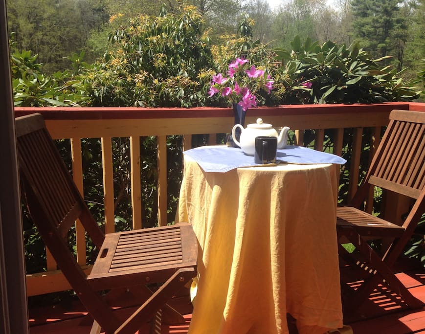 Enjoy your breakfast of homemade yogurt with fruit and granola on the deck off your room. A great place to relax while listening to the symphony of songbirds in the meadow.