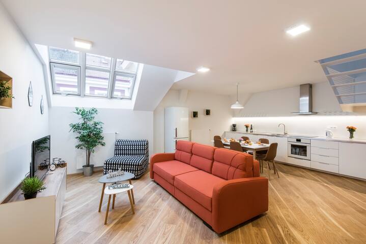 💙pragueforyou💙 GROUP 3x apts for 21 pers w/ AC