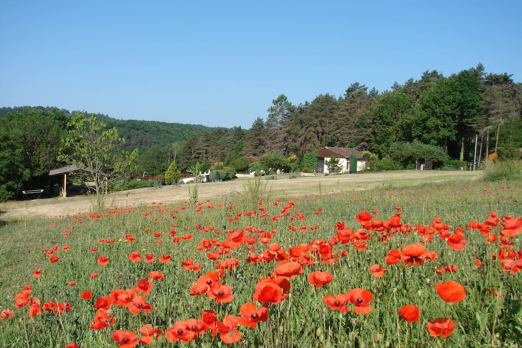 Gite du haut (à droite) et air de jeux couverte (à gauche)