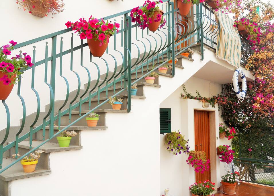 b&b La Rosa dei Venti Peschici