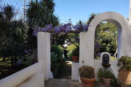 Deliziosa piccola casa con giardino