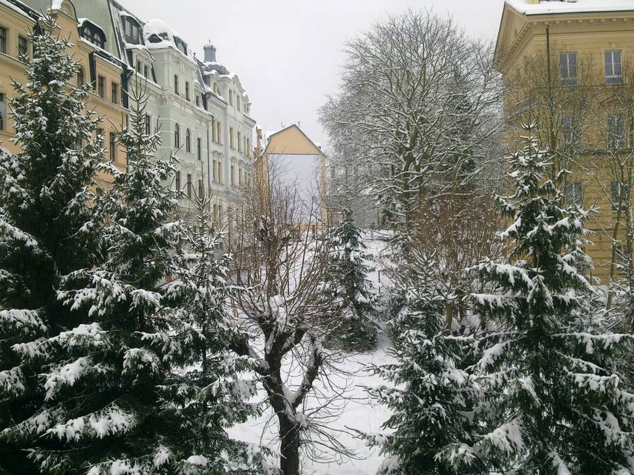 Winter front view