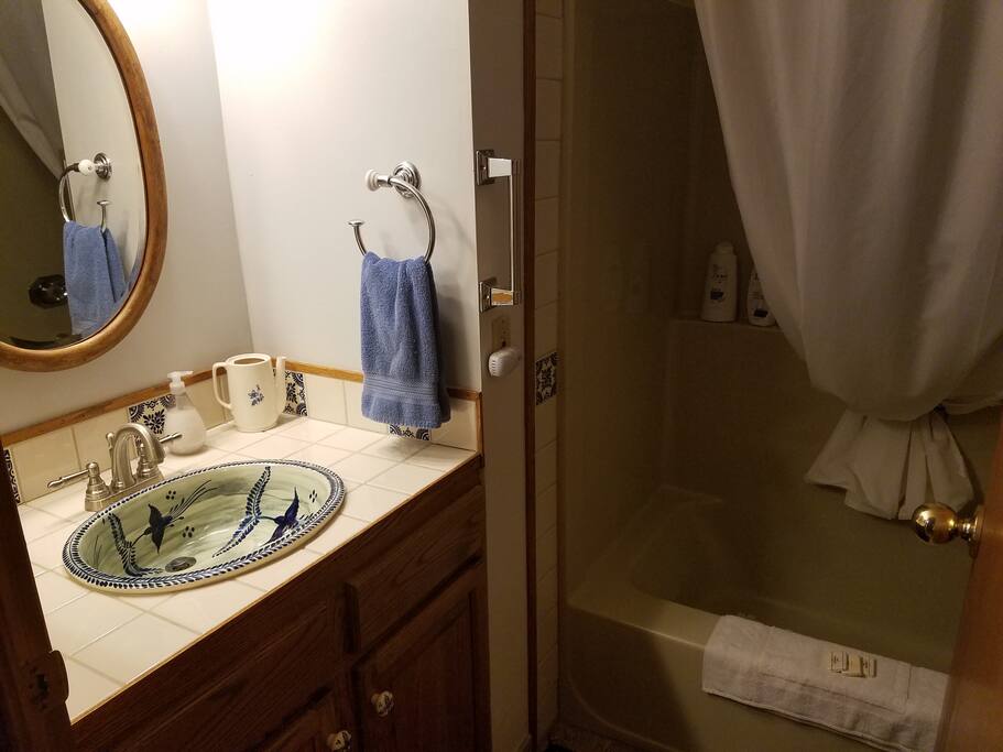 Guest bath downstairs