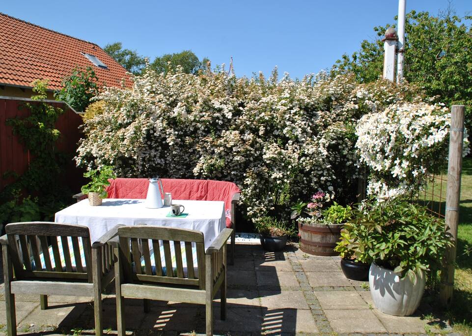 Terrassen