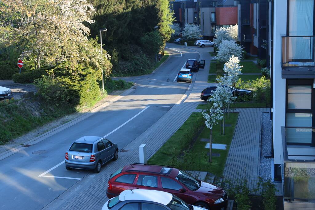 Vue sur le Vieux chemin de Seneffe depuis la terrasse avant de l'appartement