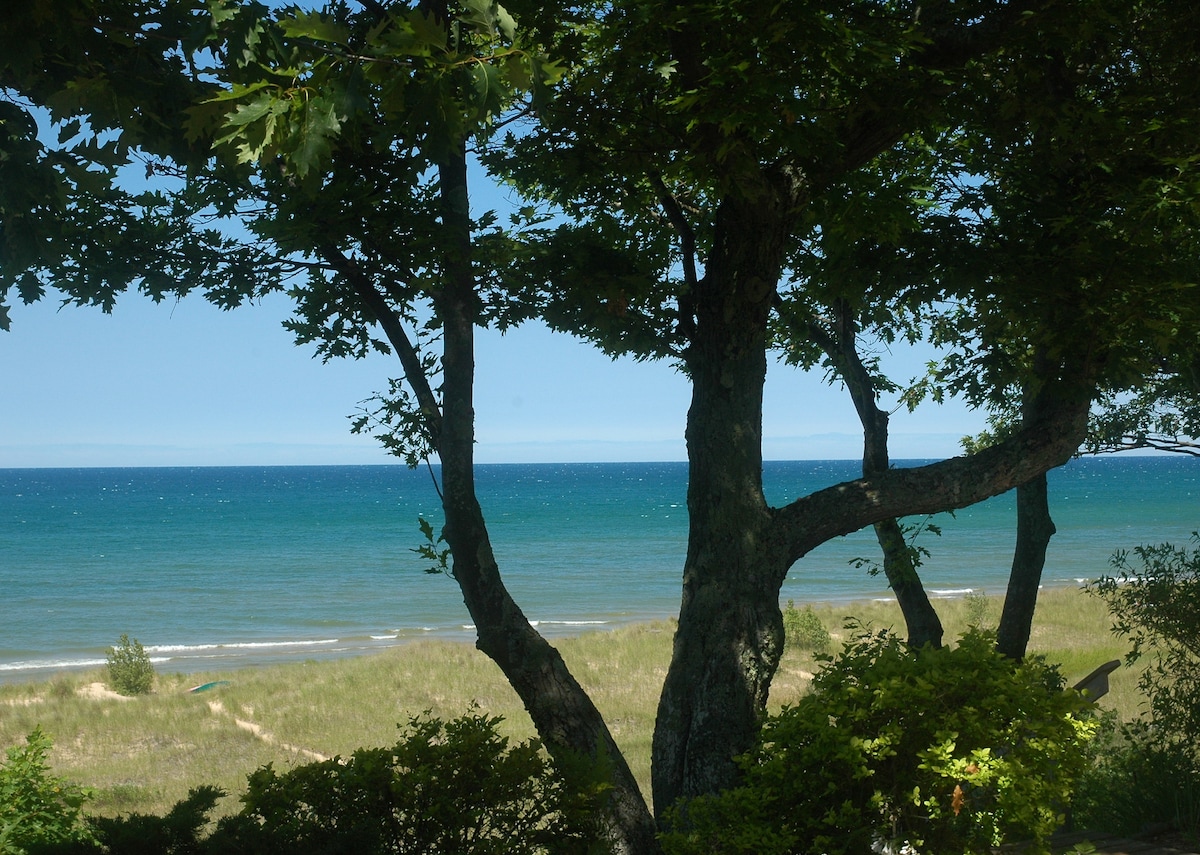 A serene view of Lake Michigan is framed by tree branches, showcasing vibrant blue waters beyond a sandy shore. Lush greenery borders the scene, with gentle waves visible along the coastal line under a clear sky.