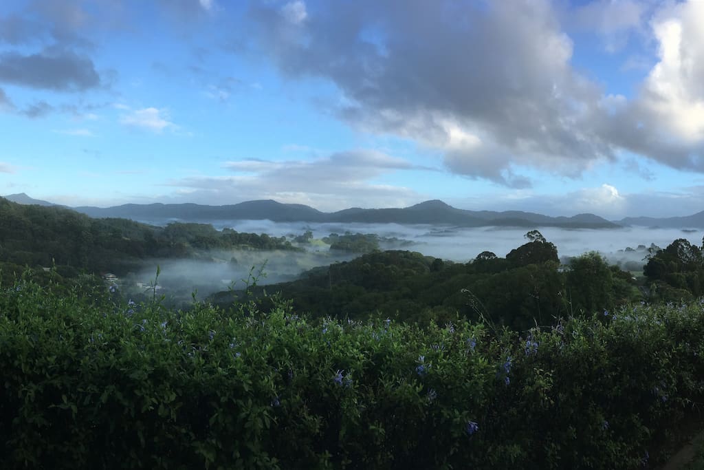Taken by one of our airbnb guests when they woke up here on a misty morning after a rainy night...
