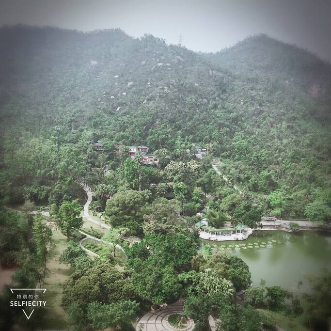 阳台上看到的白莲洞公园