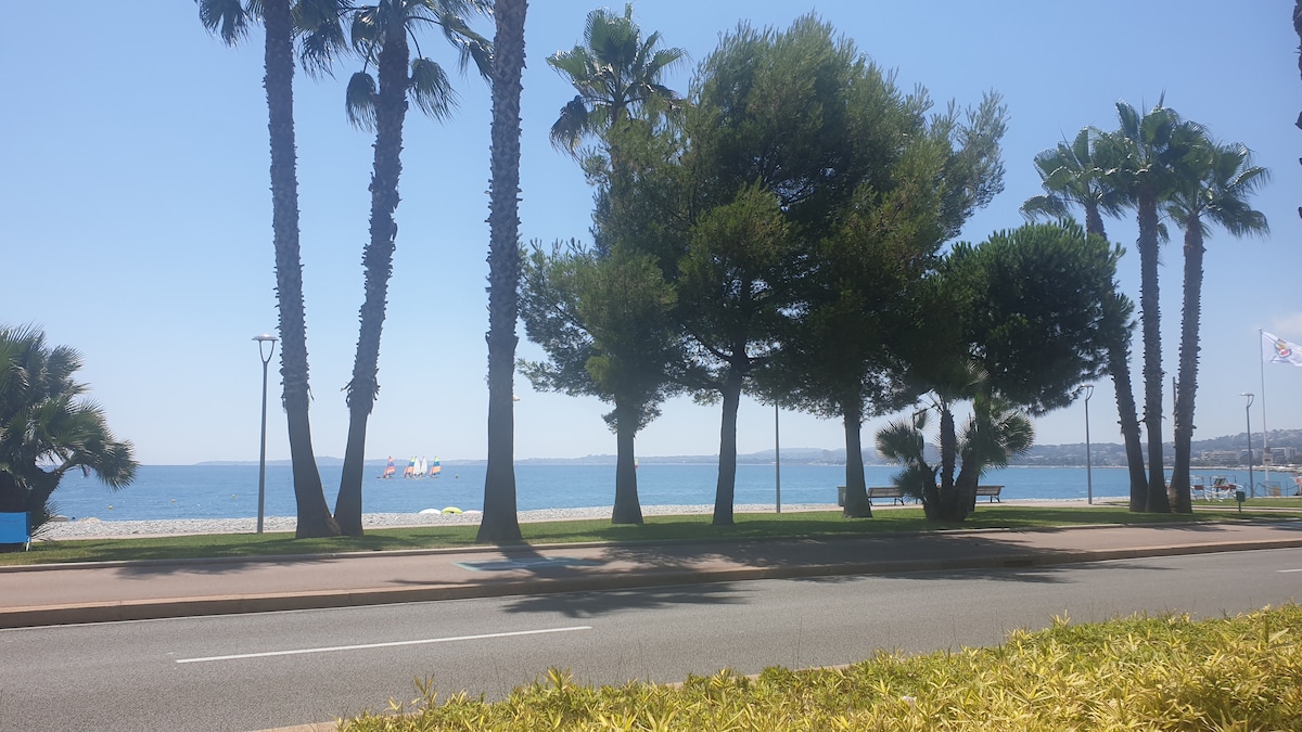 A view of the shoreline is captured, featuring palm trees lining a pathway. The ocean is visible in the background, with sailboats seen in the distance under a clear blue sky. A sandy beach can be observed along the coast, inviting relaxation.