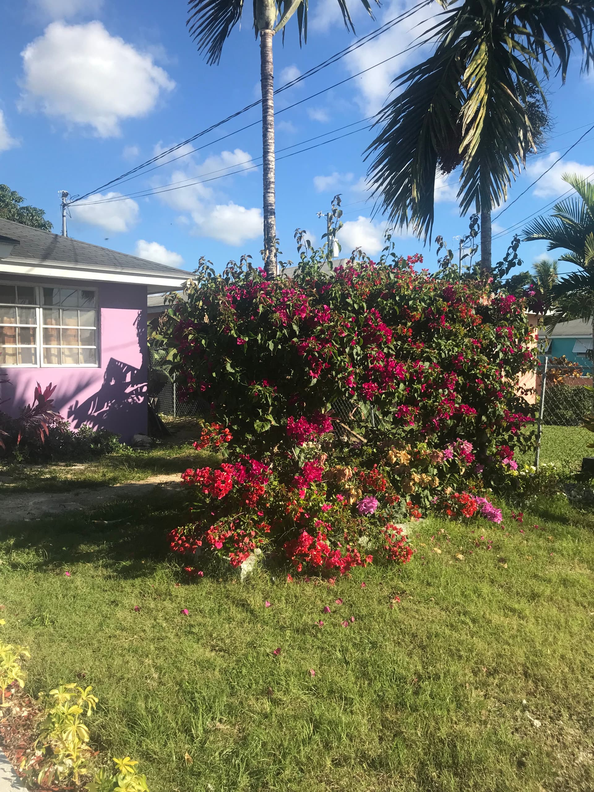 The Bahamas Petapat suite — foto 4