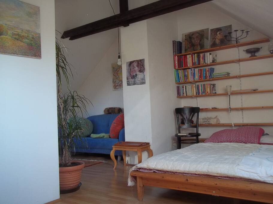 Bücherregal mit viel Platz